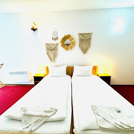 Zen Eco Villa Sfântu Gheorghe Eksteriør billede